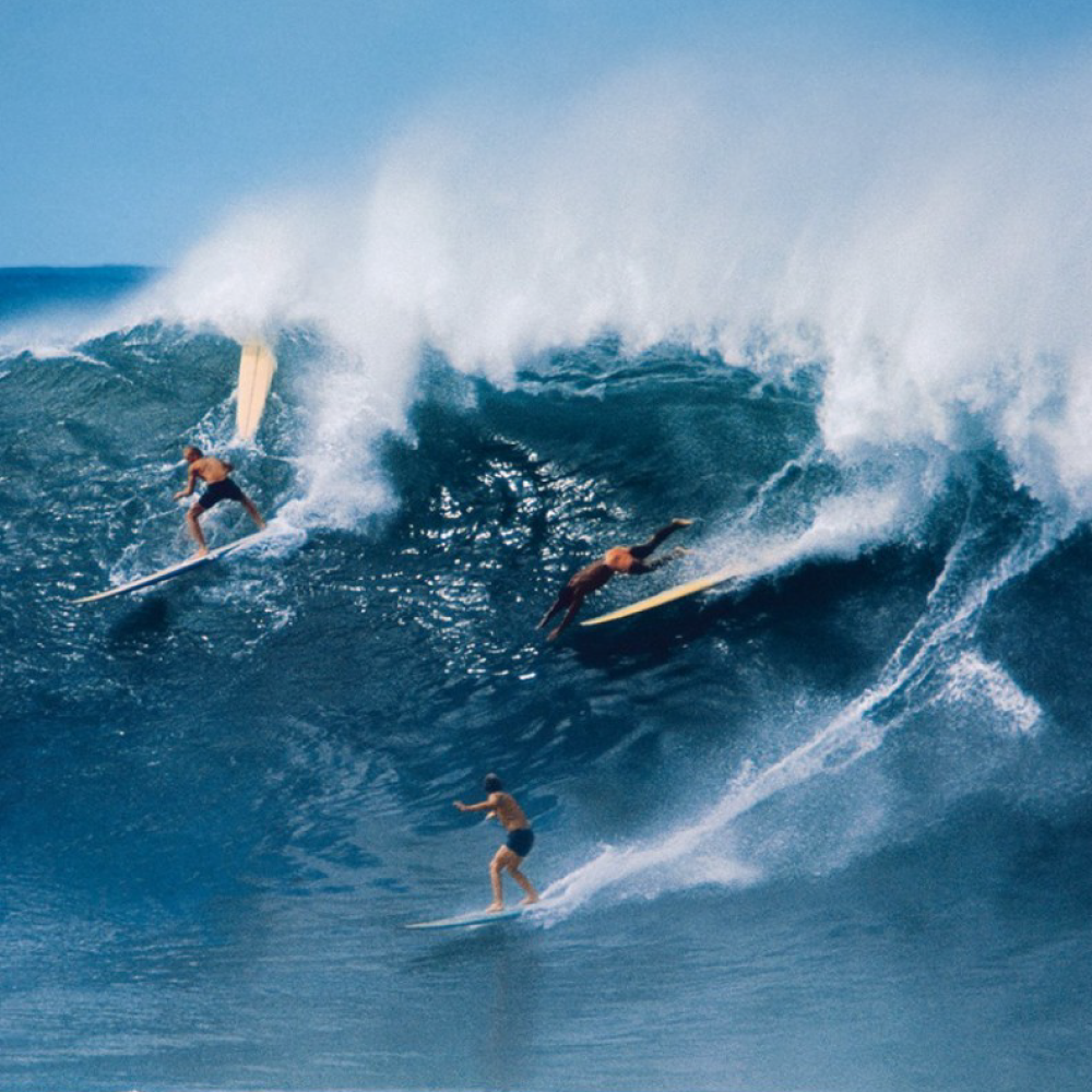 Surf & Other Sports