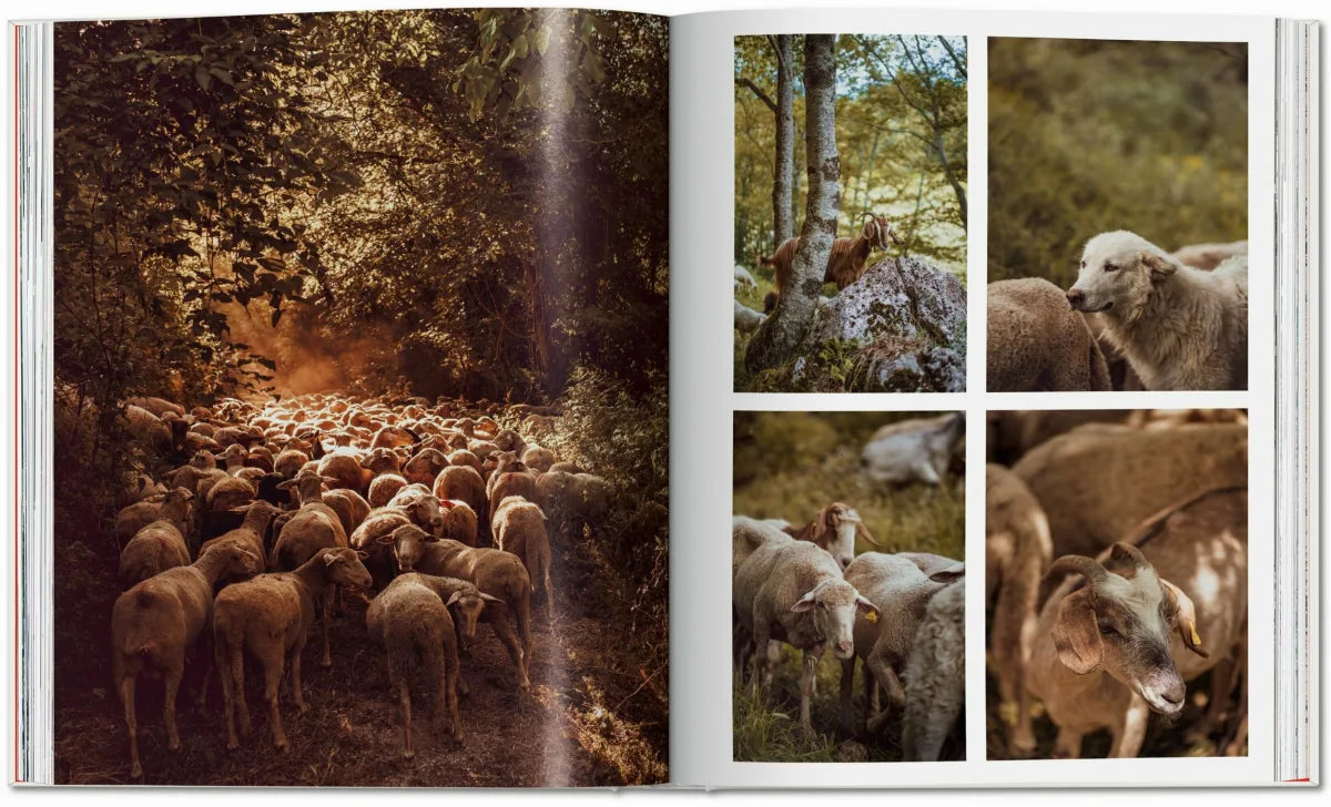 Remote Experiences. Extraordinary Travel Adventures from North to South