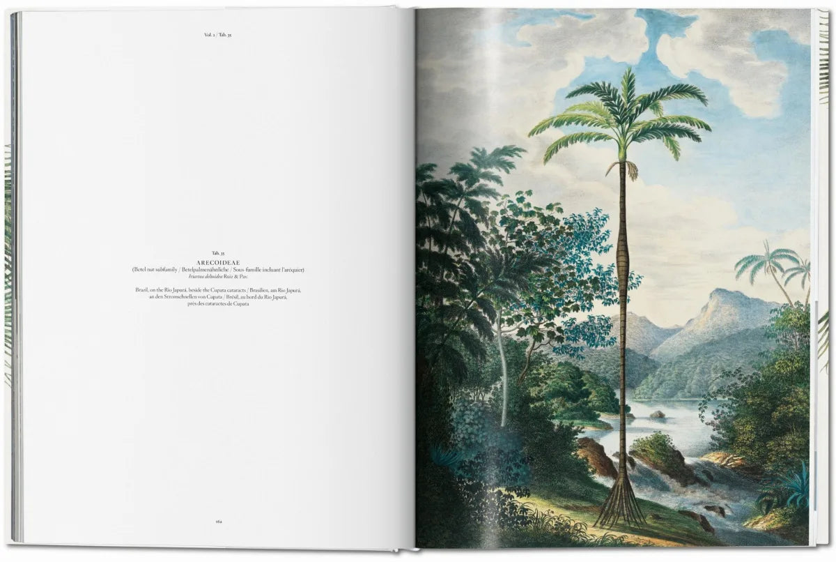 The Book Of Palms