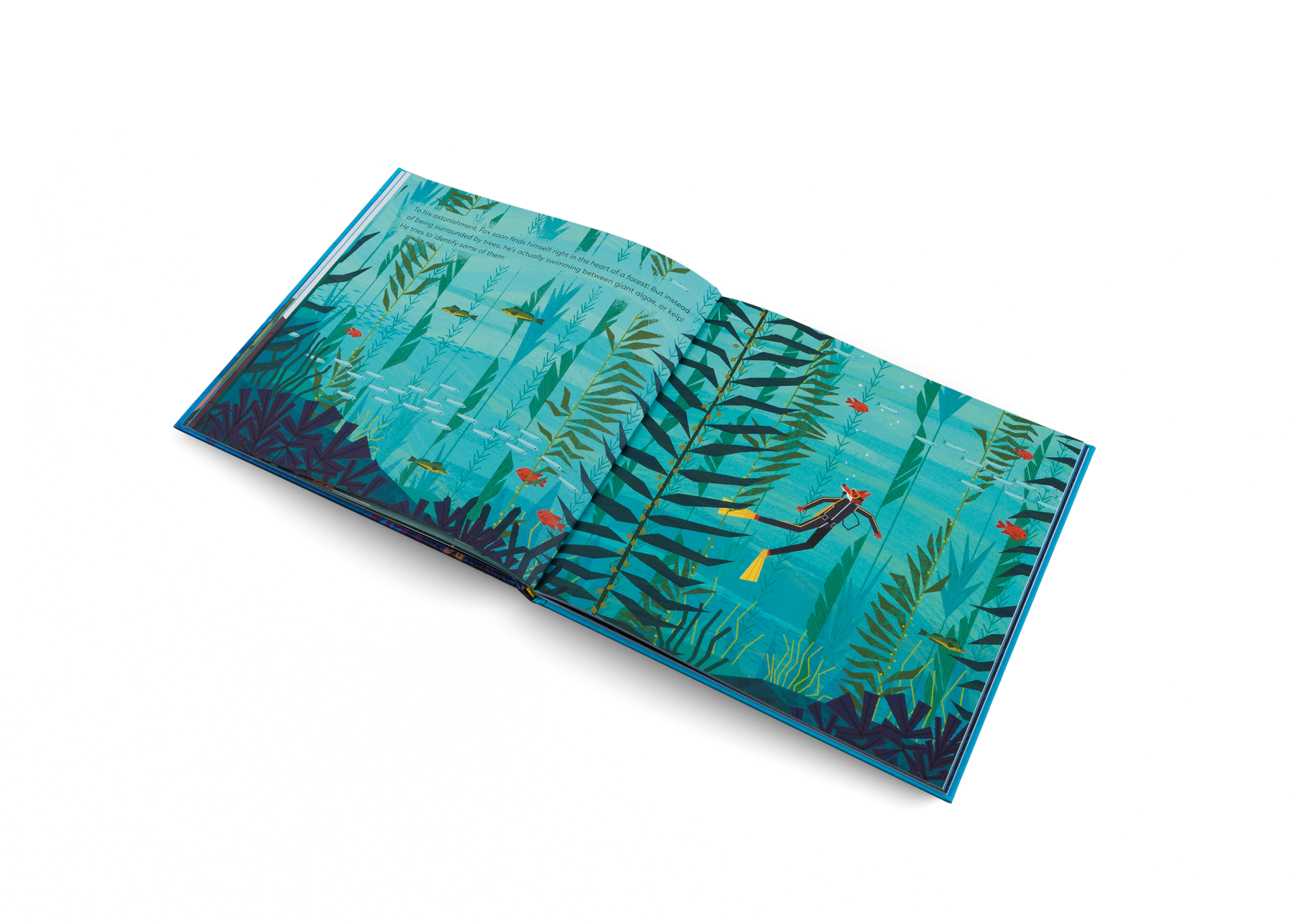 Fox And The Deep Sea Quest