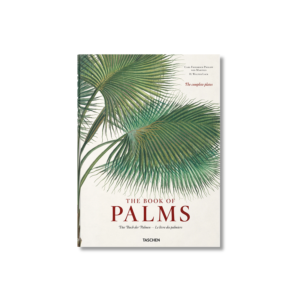 The Book Of Palms