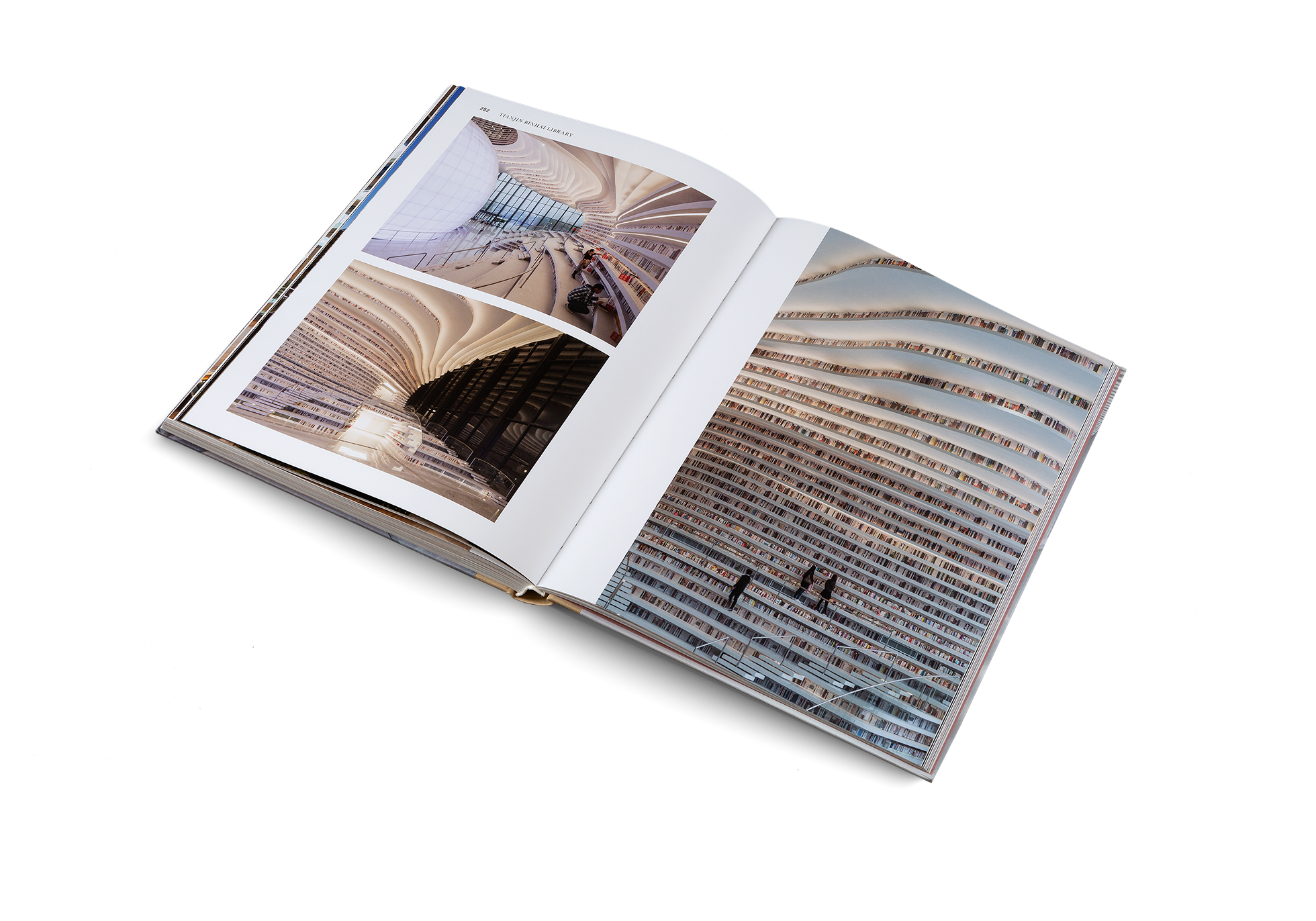 Temples Of Books