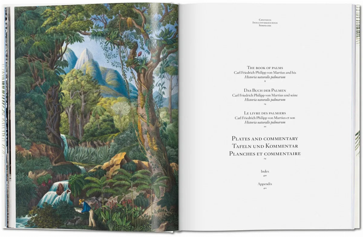 The Book Of Palms